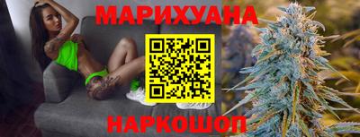 крисы Ставрополь