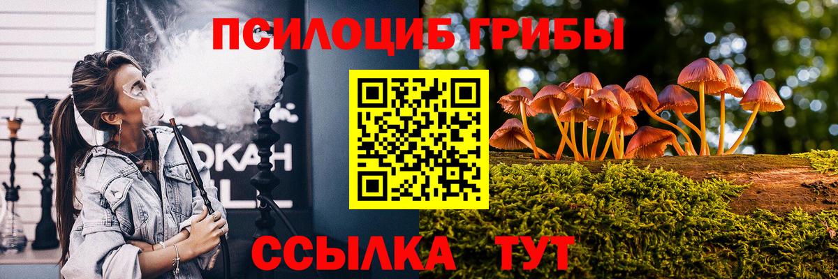 Псилоцибиновые грибы ЛСД Спасск-Дальний