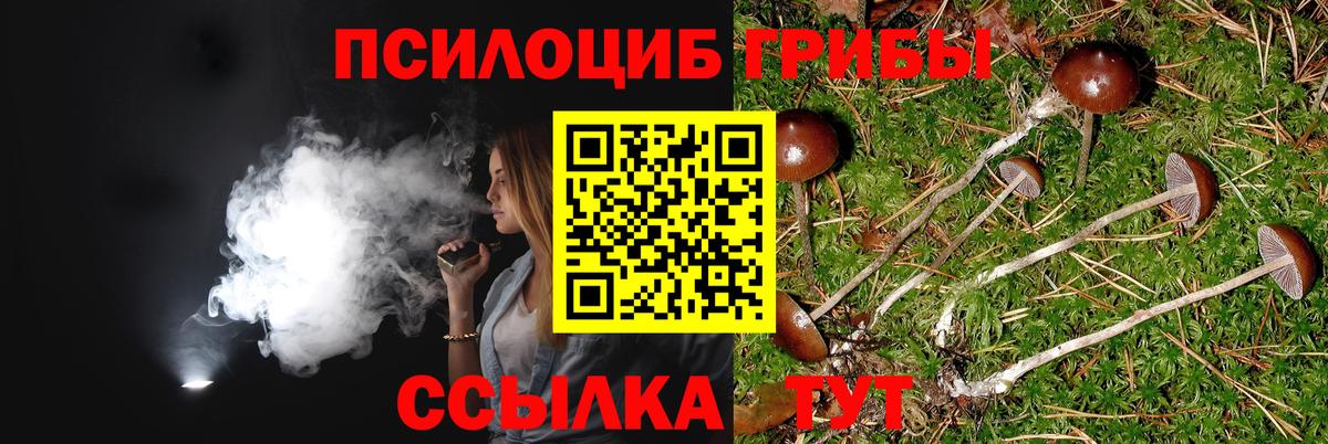 Галлюциногенные грибы мухоморы  Вход с VPN  Спасск-Дальний 